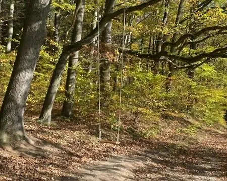 Waldfrieden Mit Sauna روهلا