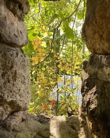 Waldfrieden Mit Sauna