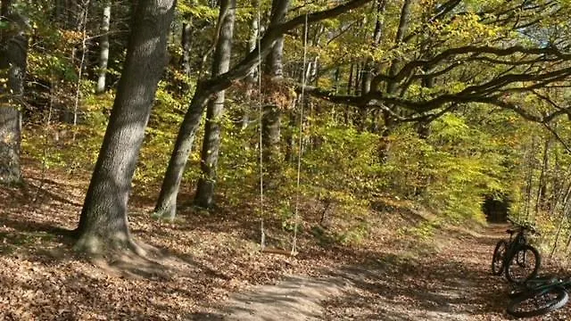 Waldfrieden Mit Sauna Ruhla