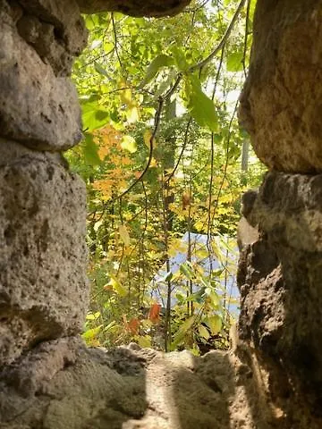 Waldfrieden Mit Sauna